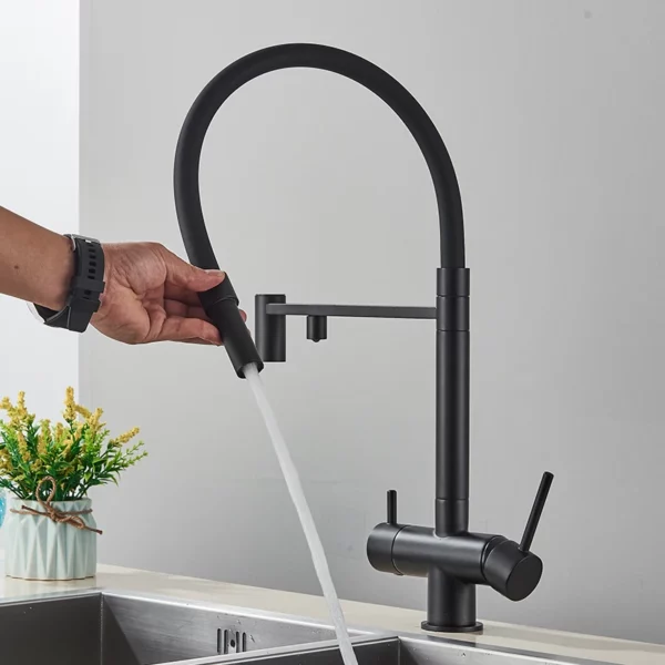 A2915972690384630950065efb56f54bcs-5.webp Black Grey Dual Handle Filtered Kitchen Faucet