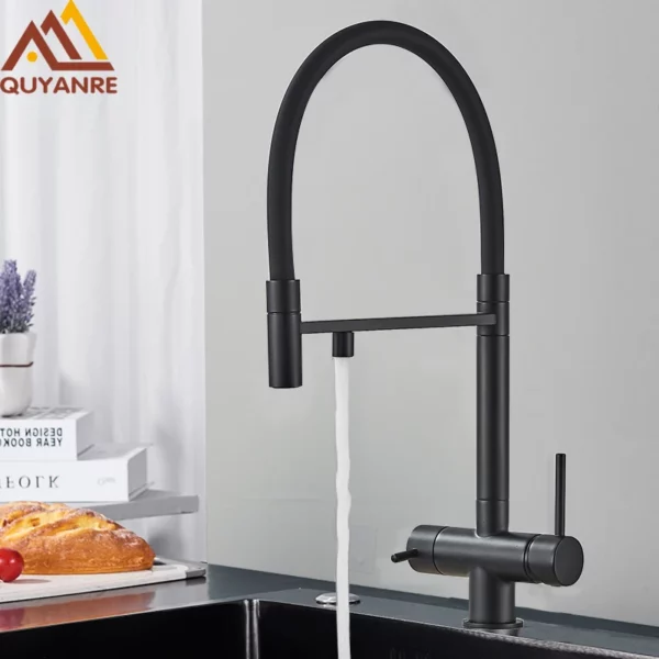 Aa6c6fdcc822c4220950d34f736f0ef84E-5.webp Black Grey Dual Handle Filtered Kitchen Faucet