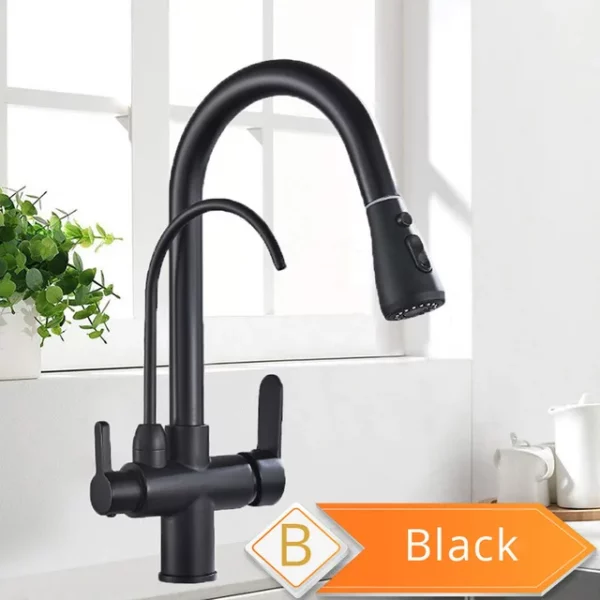 Rozin 3 Way Pull Out Kitchen Faucet with Water Filter Tap