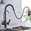 Rozin 3 Way Pull Out Kitchen Faucet with Water Filter Tap