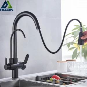 Rozin 3 Way Pull Out Kitchen Faucet with Water Filter Tap