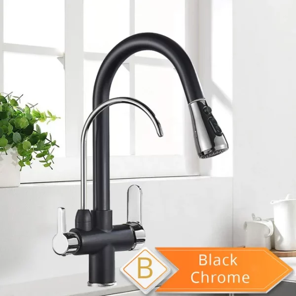Rozin 3 Way Pull Out Kitchen Faucet with Water Filter Tap