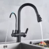 Rozin 3 Way Pull Out Kitchen Faucet with Water Filter Tap