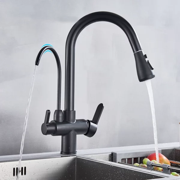 Rozin 3 Way Pull Out Kitchen Faucet with Water Filter Tap