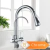 Black Gold 3-Way Kitchen Faucet