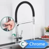 Rozin 3 Way Pull Out Kitchen Faucet with Water Filter Tap
