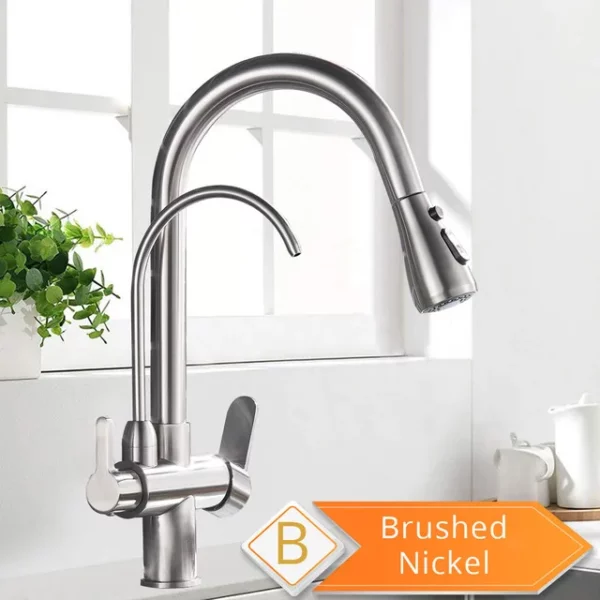 Rozin 3 Way Pull Out Kitchen Faucet with Water Filter Tap