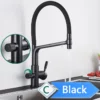 Rozin 3 Way Pull Out Kitchen Faucet with Water Filter Tap