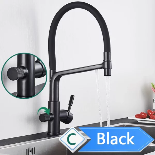 Rozin 3 Way Pull Out Kitchen Faucet with Water Filter Tap