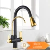 Black Gold 3-Way Kitchen Faucet