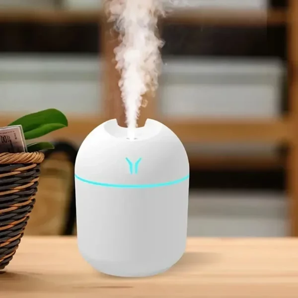 Mini USB Aroma Diffuser & Humidifier with LED Light