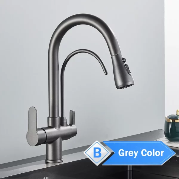 Rozin 3 Way Pull Out Kitchen Faucet with Water Filter Tap