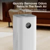 2-in-1 HEPA Air Purifier Portable Cleaner